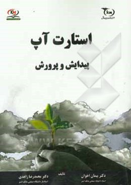 استارت‌آپ، پیدایش و پرورش