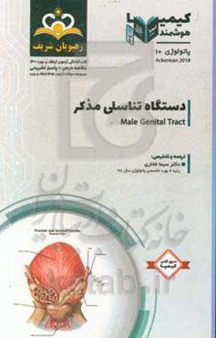 پاتولوژی: دستگاه تناسلی مذکر: خلاصه درس به همراه مجموعه سوالات آزمون ارتقاء و بورد پاتولوژی با پاسخ تشریحی 1400