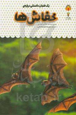 یک فنجان دانستنی درباره‌ی خفاش‌ها