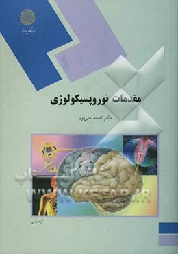 مقدمات نوروپسیکولوژی (رشته روان‌شناسی)