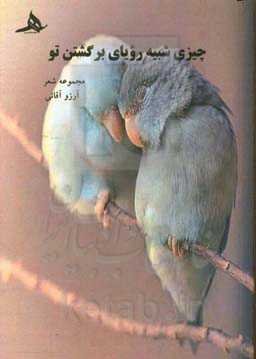 چیزی شبیه رویای برگشتن تو: مجموعه شعر