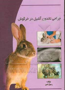 جراحی تاندون آشیل در خرگوش