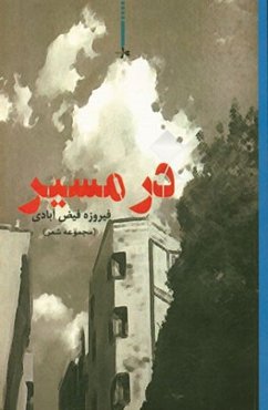 در مسیر (مجموعه شعر)