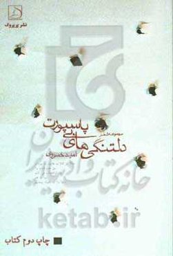 دلتنگی‌های بی‌پاسپورت