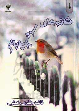 شانه‌های سرد خیابان