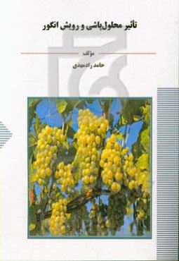 تاثیر محلول‌پاشی و رویش انگور