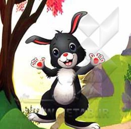 خرگوش باهوش