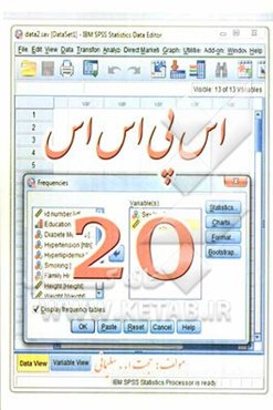 اس‌پی‌اس‌اس: 20