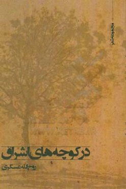 در کوچه‌های اشراق