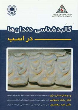 کالبدشناسی دندان‌ها در اسب