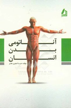 آناتومی بدن انسان