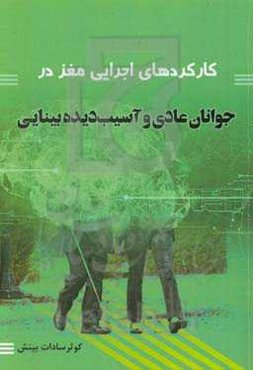 کارکردهای اجرایی مغز در جوانان عادی و آسیب‌دیده بینایی