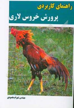 راهنمای کاربردی پرورش خروس لاری