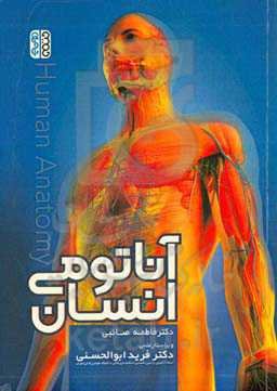 آناتومی انسان