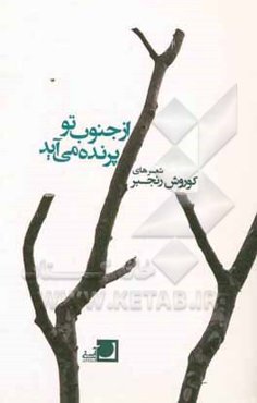 از جنوب تو پرنده می‌آید