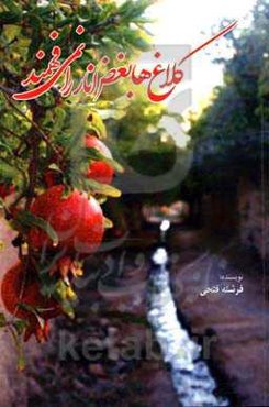 کلاغ‌ها بغض انار را نمی‌فهمند