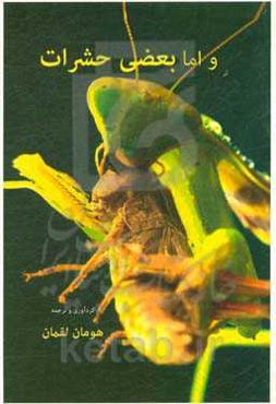 و اما بعضی حشرات