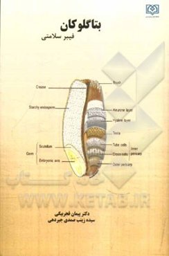 بتاگلوکان فیبر سلامتی