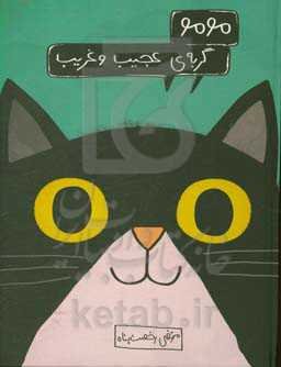 مومو گربه‌ی عجیب و غریب