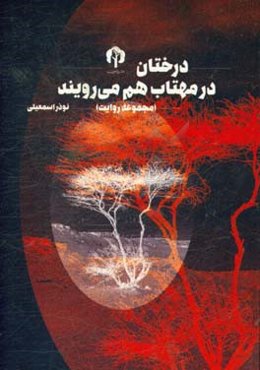 درختان در مهتاب هم می‌رویند: (مجموعه چند روایت)