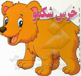 خرس شکمو