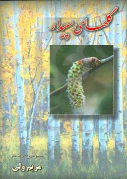 گلهای سپیدار