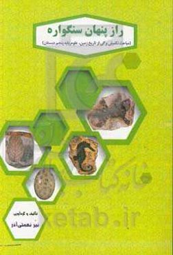 راز پنهان سنگواره‌ها (مباحث تکمیلی برگی از تاریخ زمین، علوم پایه پنجم دبستان)